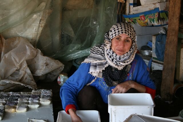  Préparation de fromages à al-Hadidiya