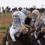 Les comités populaires palestiniens appellent à la protection populaire internationale