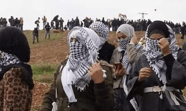 Les comités populaires palestiniens appellent à la protection populaire internationale