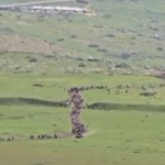 Des colons envahissent Khirbet Samra