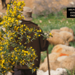 Sostieni i pastori palestinesi sotto attacco in Cisgiordania