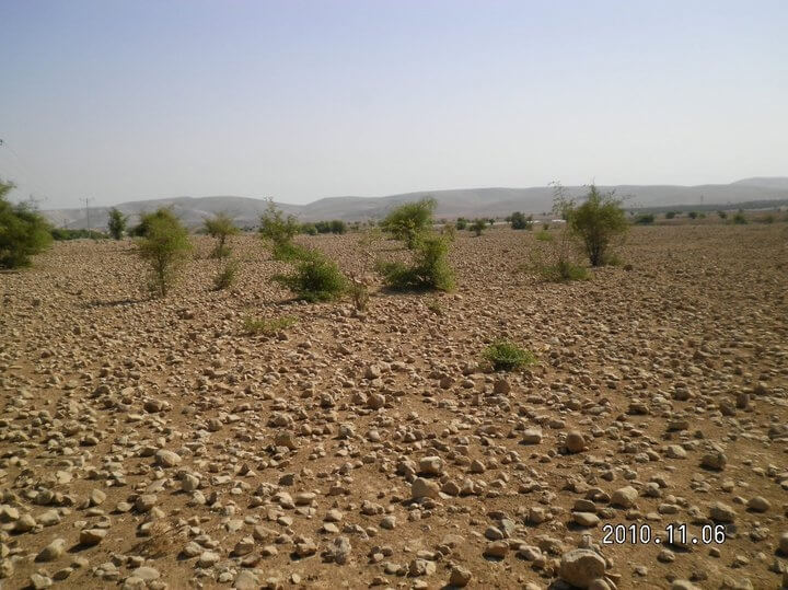Al Awja landscape today