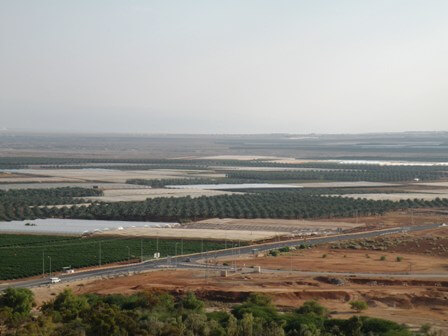 Pazael agricultural settlement