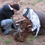 Friends celebrate the life of Simon Levin (1974-2011) with olive tree planting in Al Hadidya