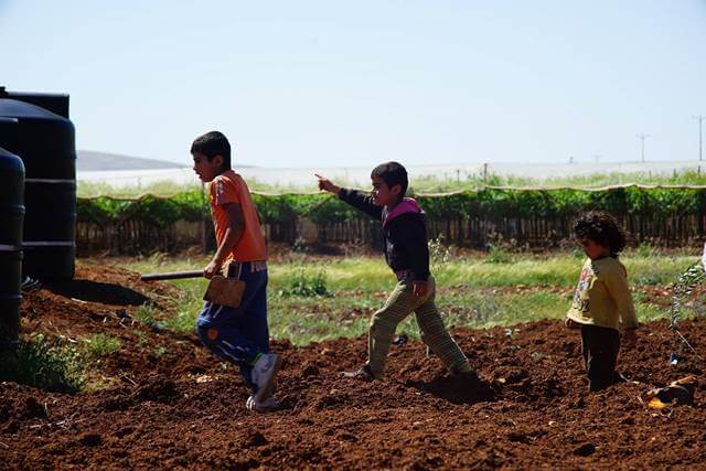 Tree planting Al Bikaa 2nd April 2016 (3)