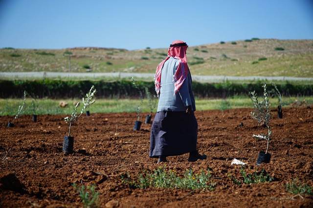 Tree planting Al Bikaa 2nd April 2016 (5)