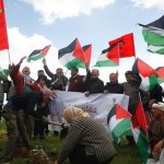 Planting olive trees: resisting annexation and the wall