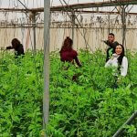 Humm Youth Group: Connecting with Jordan Valley farmers