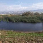 The occupation is greenwashing its theft of Palestinian water resources