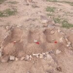 Shooting camels, arresting livestock and digging children’s graves – Al Nakba continues in the Jordan Valley