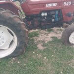 Palestinian farmers beaten by settlers and occupation soldiers in Khirbet Yarza Palestinian farmers beaten by settlers and occupation soldiers in Khirbet Yarza