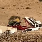 Occupation campaign to confiscate residents’ property in the northern Jordan Valley