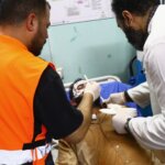 I coloni attaccano e feriscono una famiglia nel cuore della notte I coloni attaccano e feriscono una famiglia nel cuore della notte