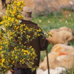 The residents of Khirbet Samra appeal for international action and protection