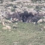 Palestinians in northern Jordan Valley under constant attack